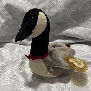 Ty Beanie Babies Loosy Tag errors